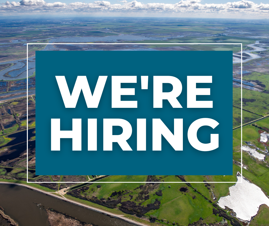 We're Hiring graphic