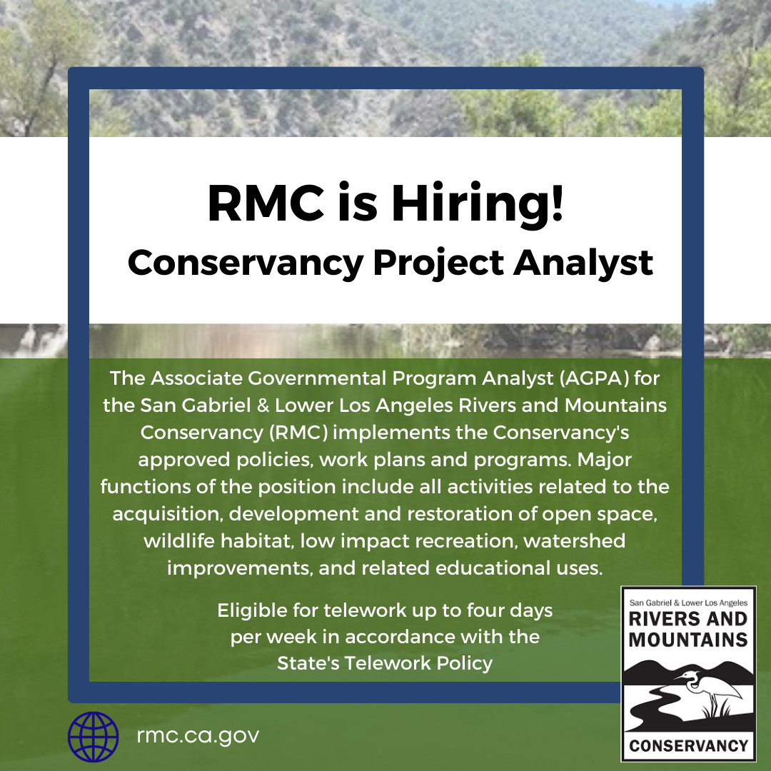 Job posting with description of project manager role 