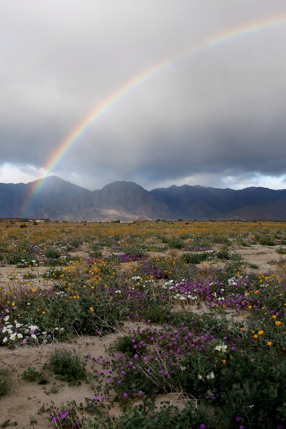 Anza-Borrego Desert SP_view from Henderson Canyon Road