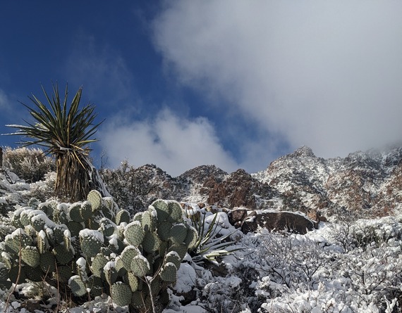 Providence Mountains SRA_desert winter wonderland by Katie Drozd