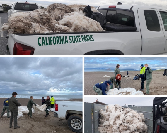 SLO Coast District cleanup_collage