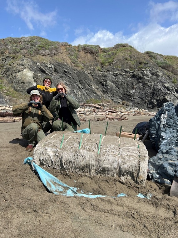 SLO Coast District cleanup