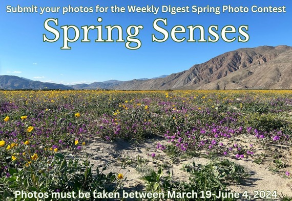 Spring Senses Flyers (1)