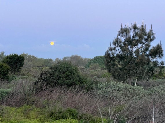 Border Field SP_full moon setting