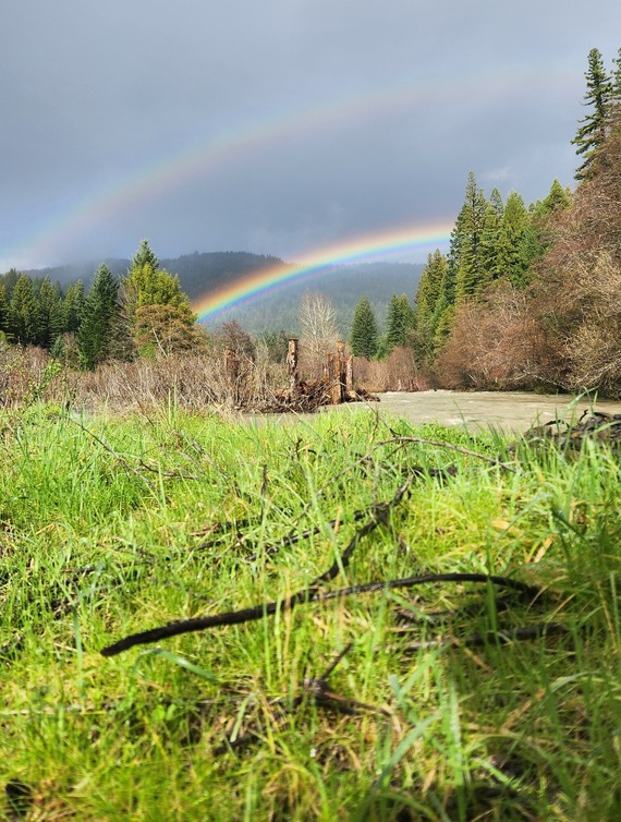 Humboldt rainbow