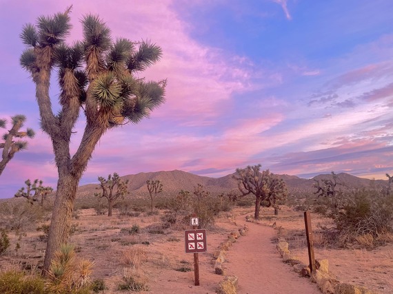 Saddleback Butte SP Sunset