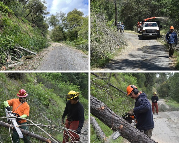 Henry W. Coe SP_collage