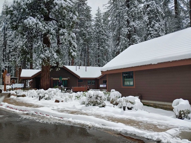 Calaveras Big Trees Snow