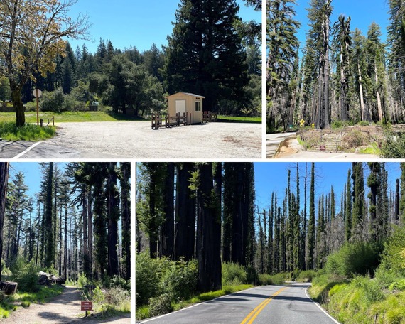 Big Basin Shuttle