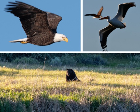 Ahjumawi Lava Springs State Park