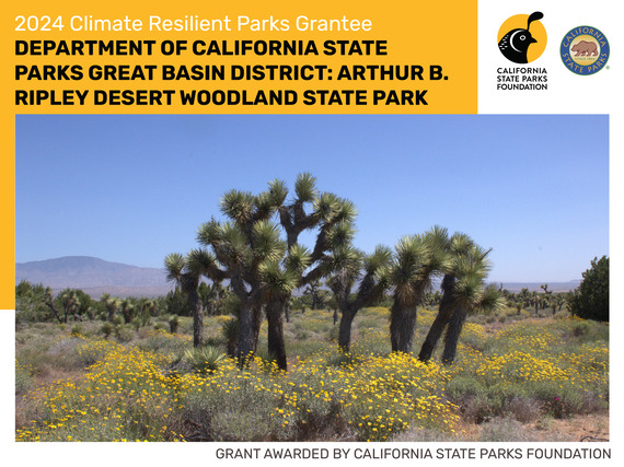 Arthur B Ripley Desert Woodland State Park awarded