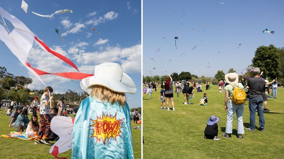 Los Angeles SHP_kite collage