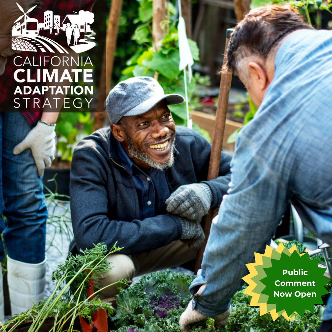 Adaptation Strategy Public Comment