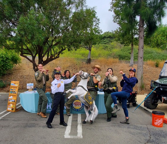 angeles district staff calabasas safety fair miniature horse