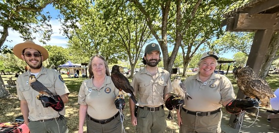 lake oroville state recreation area staff falcon