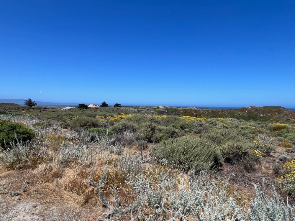 Fort Ord State Park Sand Dunes Ocean