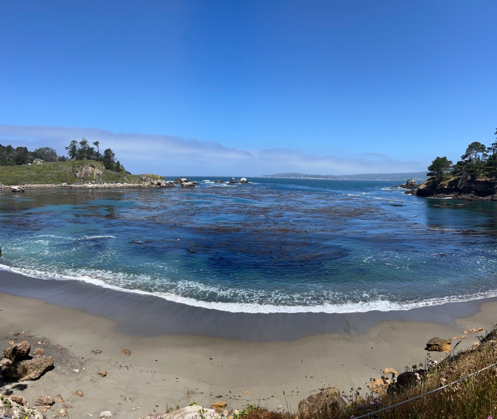 whaler's cove point lobos state natural reserve