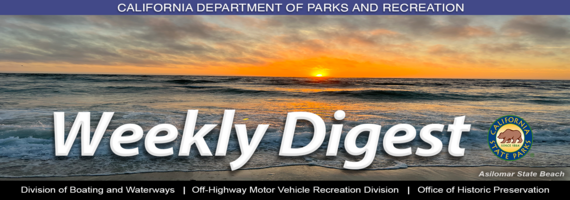 summer masthead for Weekly Digest 