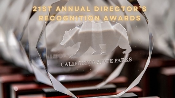 21st Annual Director's Recognition Awards (gold text)