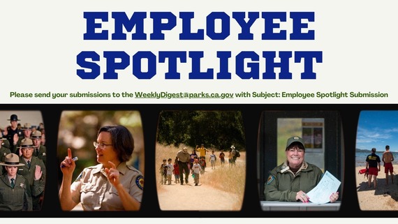 employee spotlight graphic