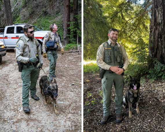 Big Basin_Weber, Ackemann and Rino collage