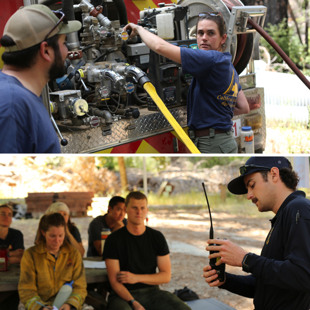Big Basin Redwoods SP_collage
