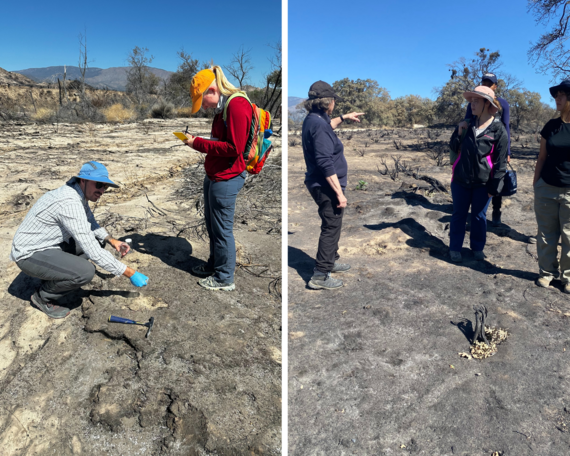 Hungry Valley SVRA_students collage