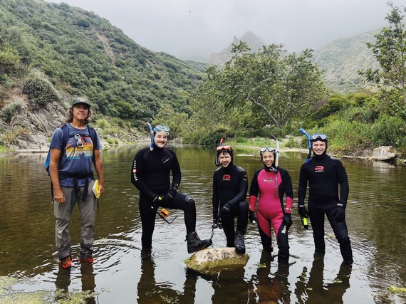 Malibu Creek snorkeling group steelhead trout