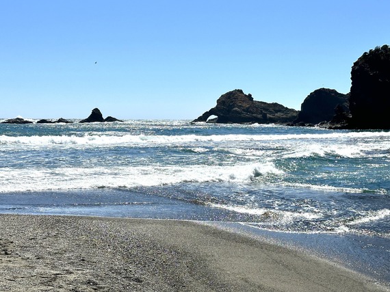 Navarro River Redwoods State Park
