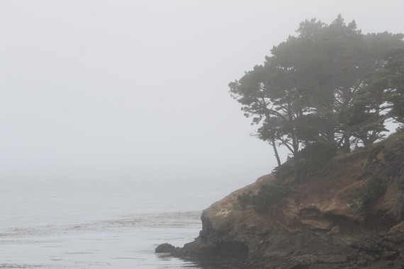 Point Lobos SNR_overcast landscape