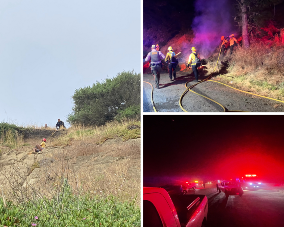 Santa Cruz District staff_collage of rescues