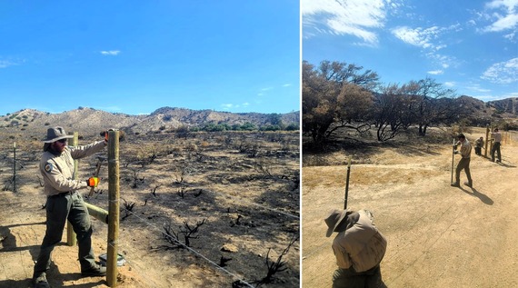 Hungry Valley SVRA_Post Fire recovery efforts