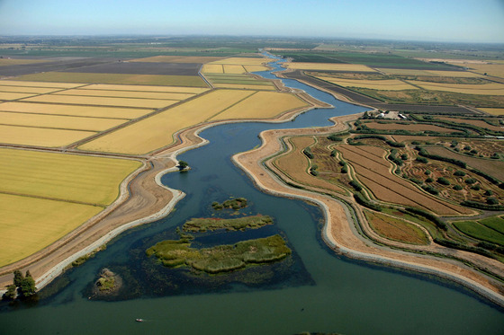 Aerial view of the Sacramento-San Joaquin Delta. Photo via DWR.