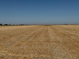 Capinero Creek Project site by Tule Basin Land and Water Conservation Trust