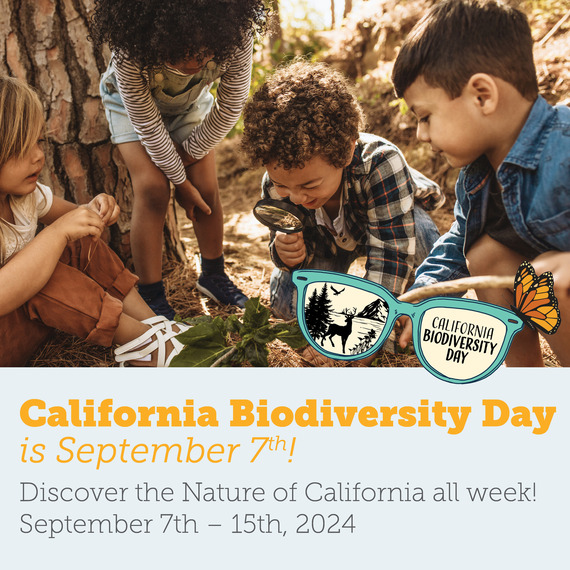 Biodiversity Day graphic
