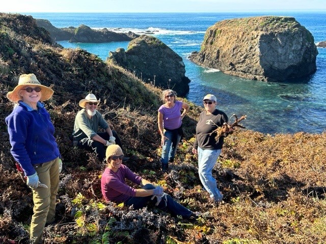 California State Parks Volunteers Mendocino Headlands