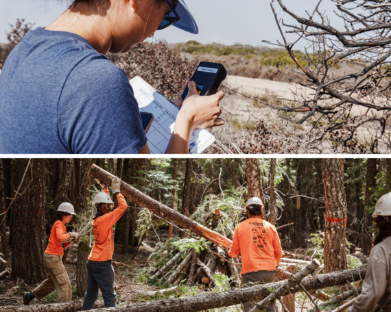 California State Parks and Parks California Announce Joint Effort collage