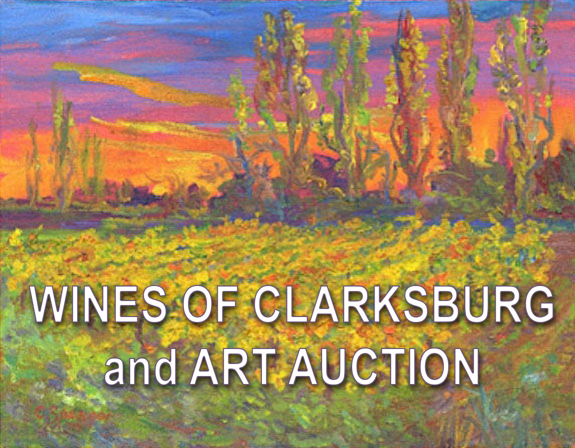 Abstract art with the words "Wines of Clarksburg and Art Auction" across the image 