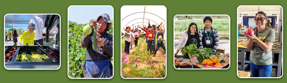 Montage of images of farmers and produce