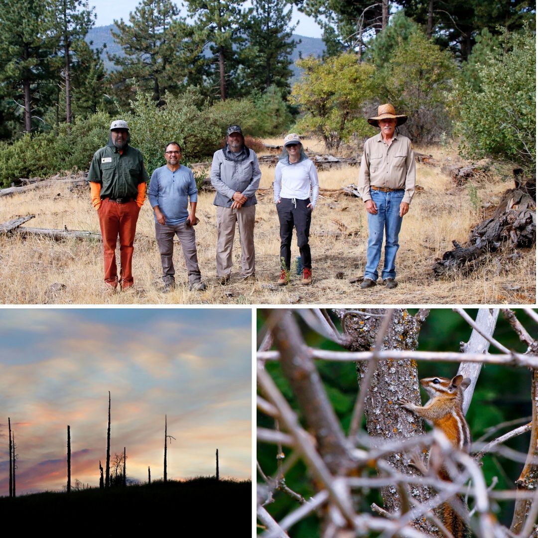 Cuyamaca Rancho collage
