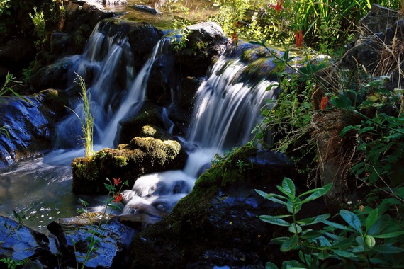Palomar Mountain SP (small waterfall)