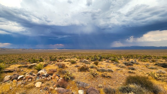 Providence Mountains SRA (desert landscape)