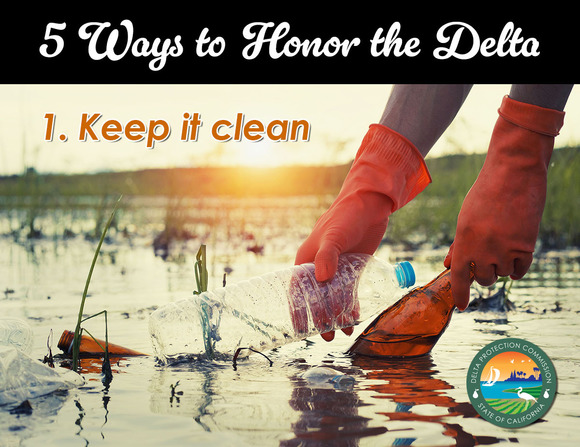 Screen grab: 5 ways you can honor the Delta