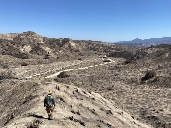 Hungry Valley SVRA (Post Fire overlooking canyon)