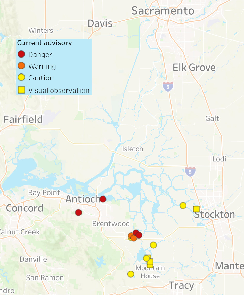 Location of harmful algal bloom advisories in the Delta as of 9/20/24