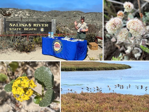 Salinas River SB collage