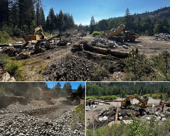 Donner Memorial SP_Cold Creek restoration in late July collage