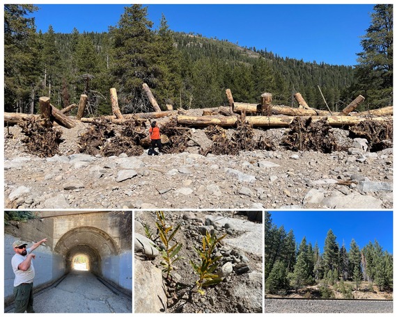 Donner Memorial SP_Cold Creek updated collage 