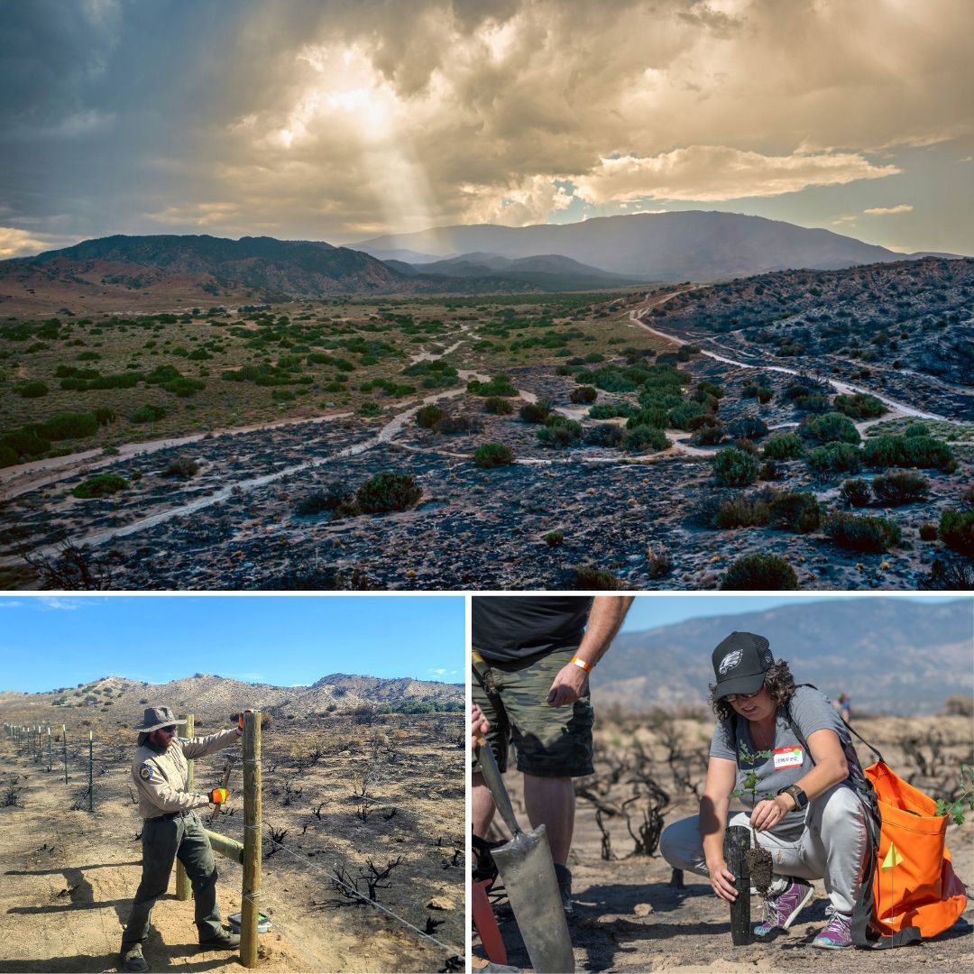 Hungry Valley reopens
