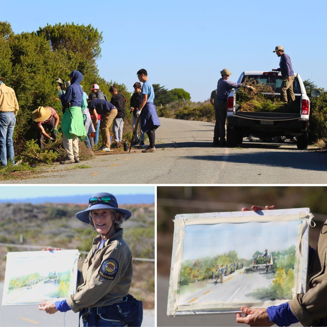 Fort Ord Dunes SP_Volunteer day collage